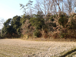 郡家車塚古墳のイメージ01