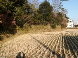 郡家車塚古墳のイメージ02