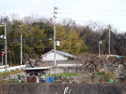 岡本山古墳のイメージ01