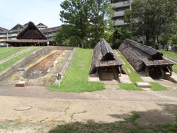 新池遺跡（ハニワ工場公園）のイメージ02