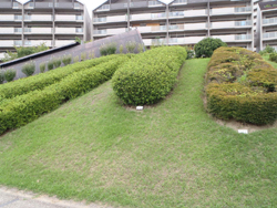 新池遺跡（ハニワ工場公園）のイメージ12