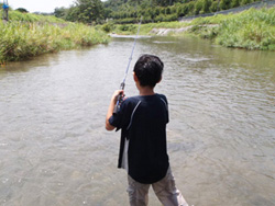 雑魚釣りイメージ3